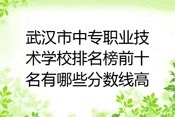 武汉市中专职业技术学校排名榜前十名有哪些分数线高