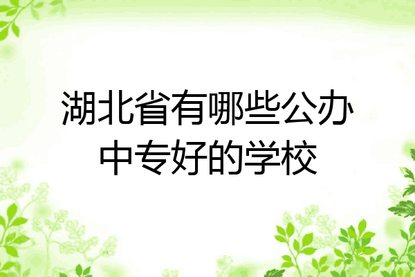 湖北省有哪些公办中专好的学校