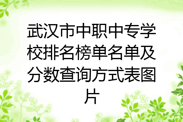 武汉市中职中专学校排名榜单名单及分数查询方式表图片