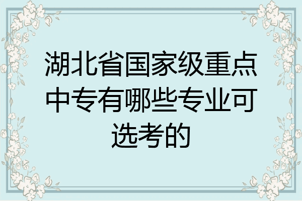 湖北省国家级重点中专有哪些专业可选考的