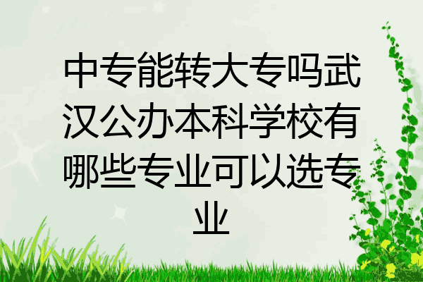 中专能转大专吗武汉公办本科学校有哪些专业可以选专业