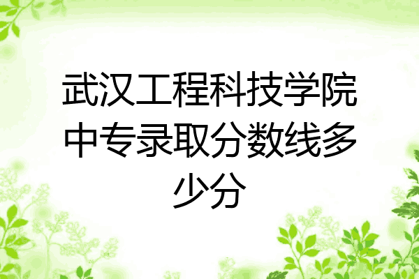 武汉工程科技学院中专录取分数线多少分