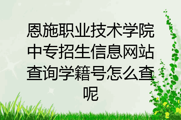 恩施职业技术学院中专招生信息网站查询学籍号怎么查呢