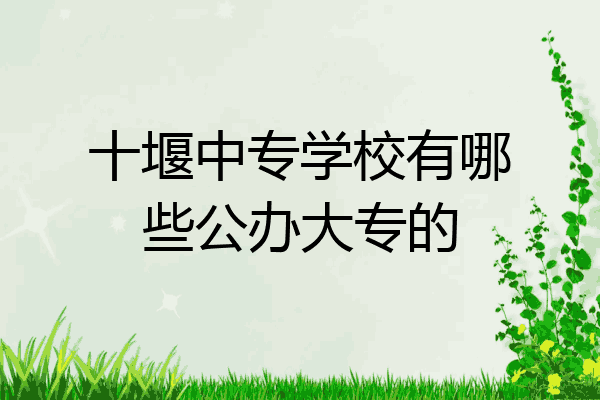 十堰中专学校有哪些公办大专的