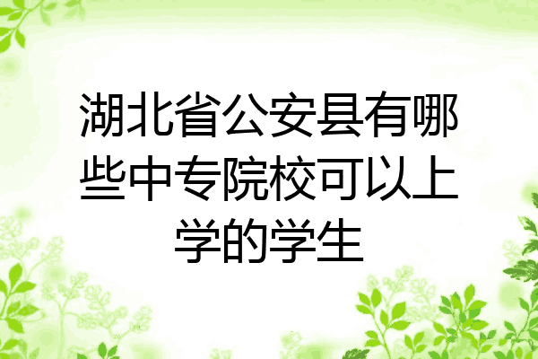 湖北省公安县有哪些中专院校可以上学的学生
