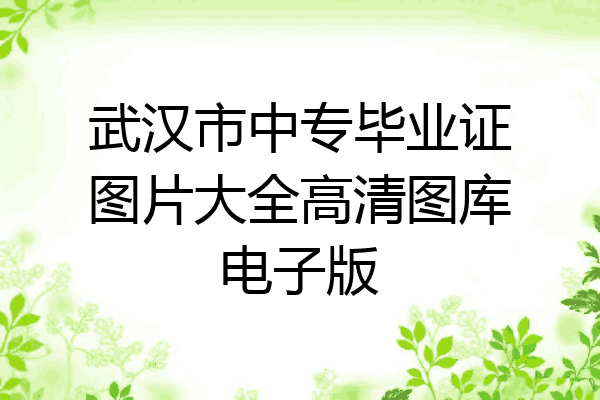 武汉市中专毕业证图片大全高清图库电子版