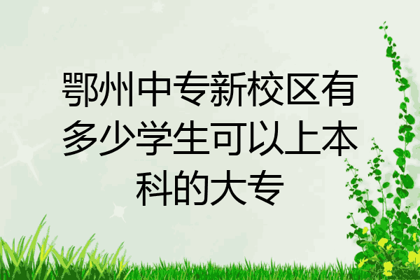 鄂州中专新校区有多少学生可以上本科的大专