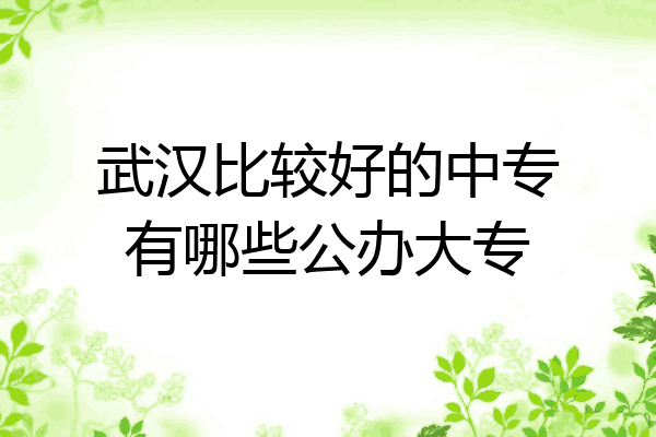 武汉比较好的中专有哪些公办大专