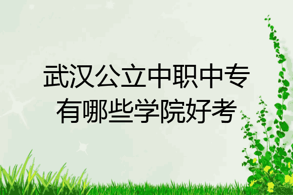 武汉公立中职中专有哪些学院好考