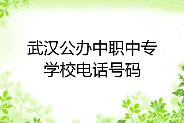 武汉公办中职中专学校电话号码