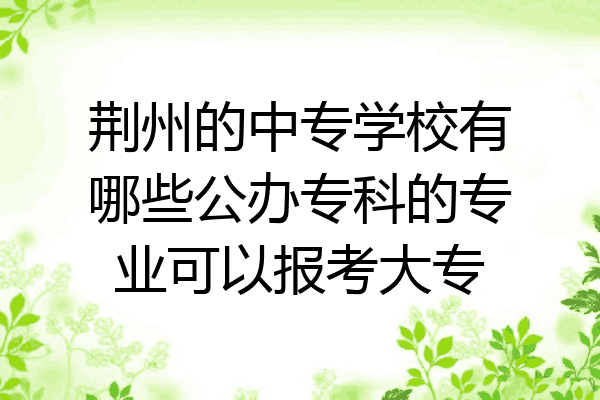 荆州的中专学校有哪些公办专科的专业可以报考大专
