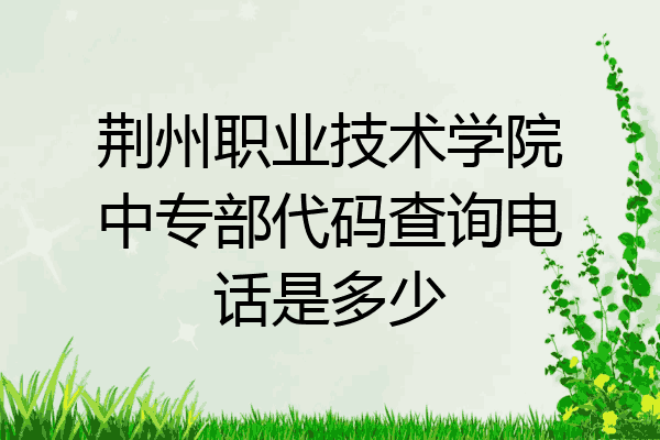 荆州职业技术学院中专部代码查询电话是多少