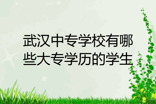 武汉中专学校有哪些大专学历的学生