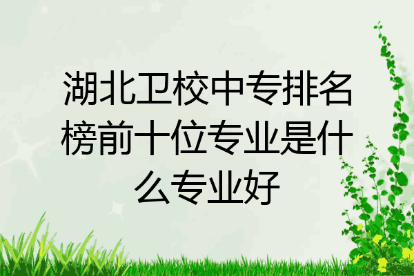 湖北卫校中专排名榜前十位专业是什么专业好