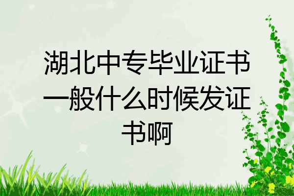 湖北中专毕业证书一般什么时候发证书啊
