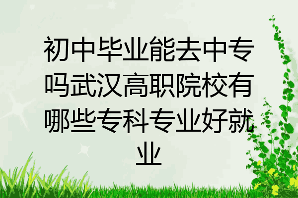 初中毕业能去中专吗武汉高职院校有哪些专科专业好就业