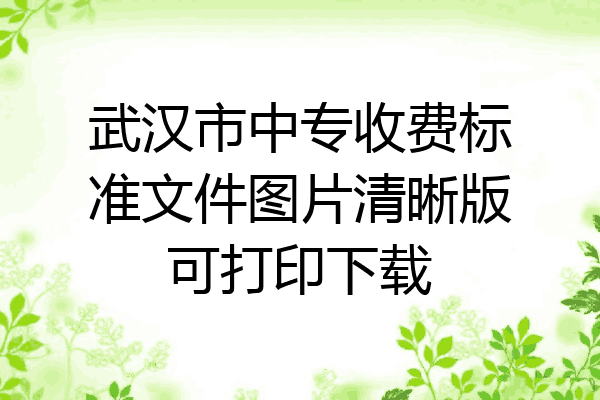 武汉市中专收费标准文件图片清晰版可打印下载