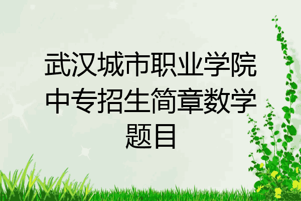 武汉城市职业学院中专招生简章数学题目