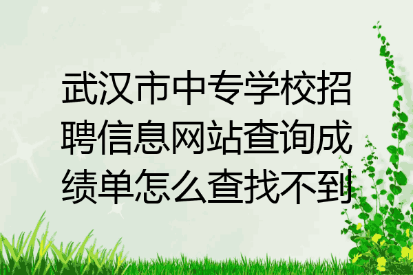 武汉市中专学校招聘信息网站查询成绩单怎么查找不到