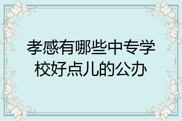 孝感有哪些中专学校好点儿的公办
