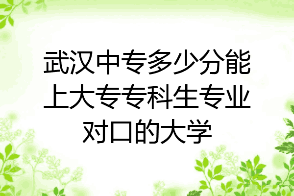 武汉中专多少分能上大专专科生专业对口的大学