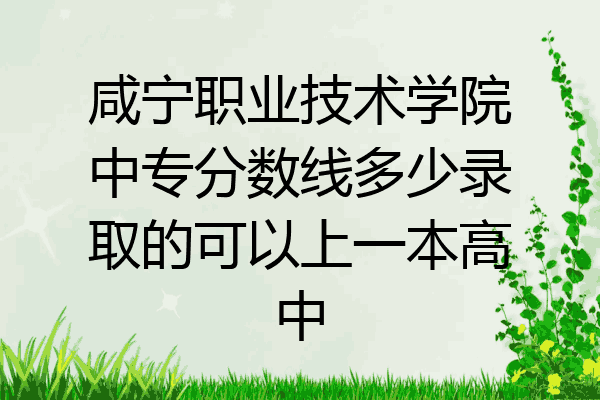 咸宁职业技术学院中专分数线多少录取的可以上一本高中