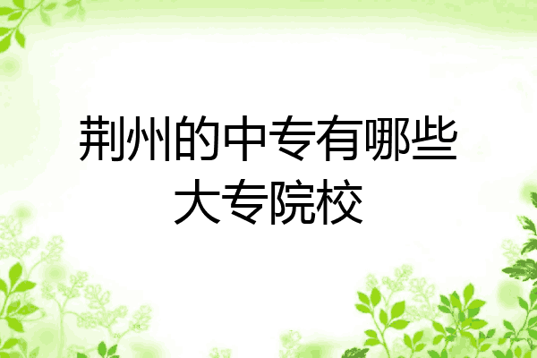 荆州的中专有哪些大专院校