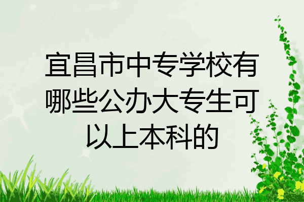 宜昌市中专学校有哪些公办大专生可以上本科的