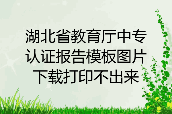 湖北省教育厅中专认证报告模板图片下载打印不出来