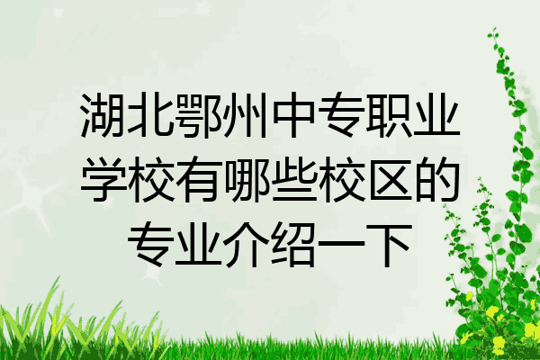 湖北鄂州中专职业学校有哪些校区的专业介绍一下