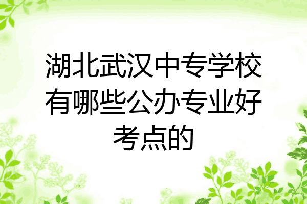 湖北武汉中专学校有哪些公办专业好考点的