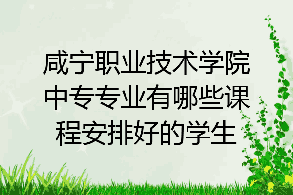 咸宁职业技术学院中专专业有哪些课程安排好的学生