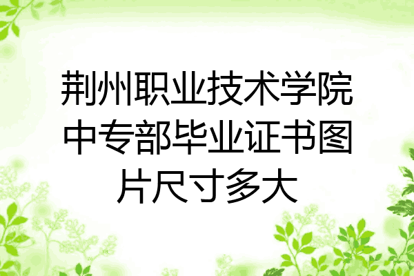 荆州职业技术学院中专部毕业证书图片尺寸多大