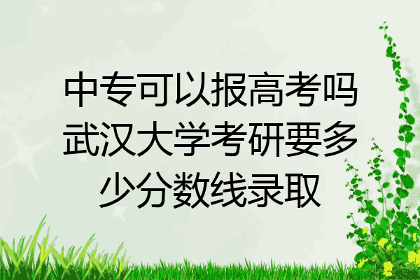 中专可以报高考吗武汉大学考研要多少分数线录取
