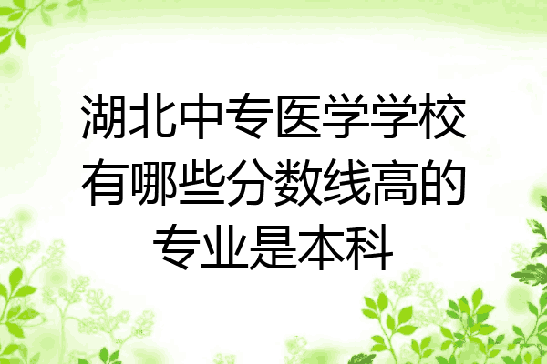 湖北中专医学学校有哪些分数线高的专业是本科