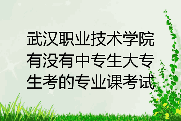 武汉职业技术学院有没有中专生大专生考的专业课考试