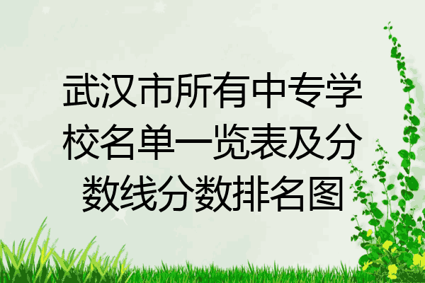 武汉市所有中专学校名单一览表及分数线分数排名图