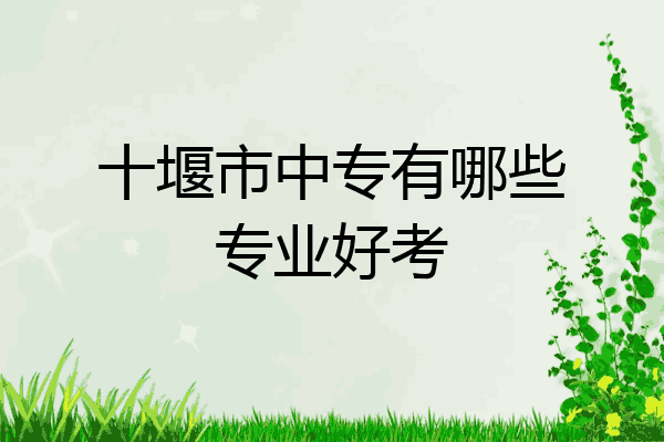 十堰市中专有哪些专业好考