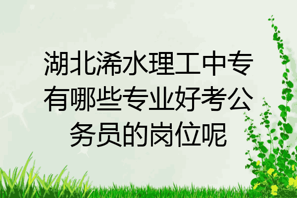 湖北浠水理工中专有哪些专业好考公务员的岗位呢