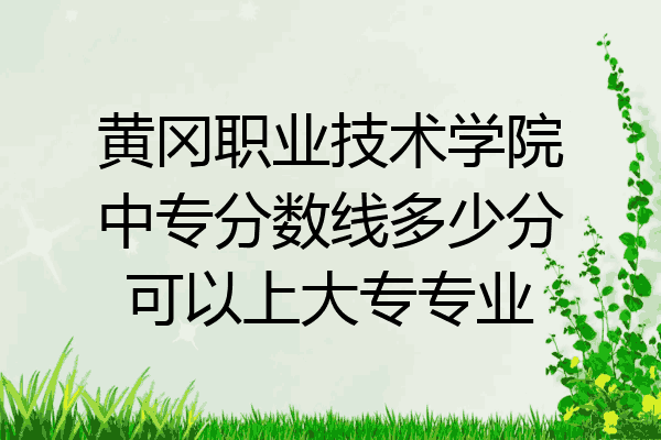 黄冈职业技术学院中专分数线多少分可以上大专专业