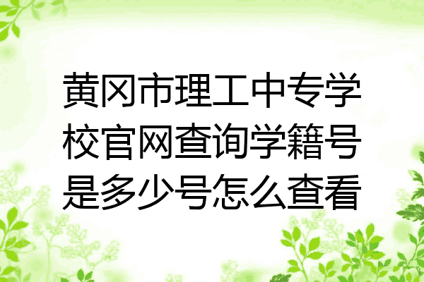 黄冈市理工中专学校官网查询学籍号是多少号怎么查看