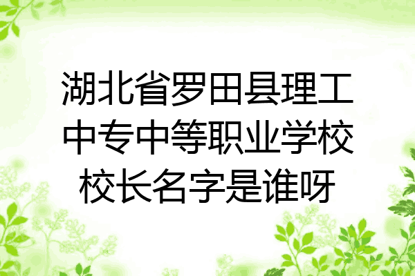 湖北省罗田县理工中专中等职业学校校长名字是谁呀