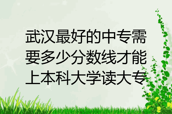 武汉最好的中专需要多少分数线才能上本科大学读大专