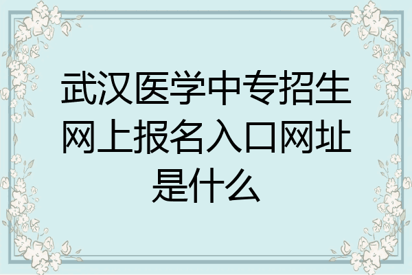武汉医学中专招生网上报名入口网址是什么