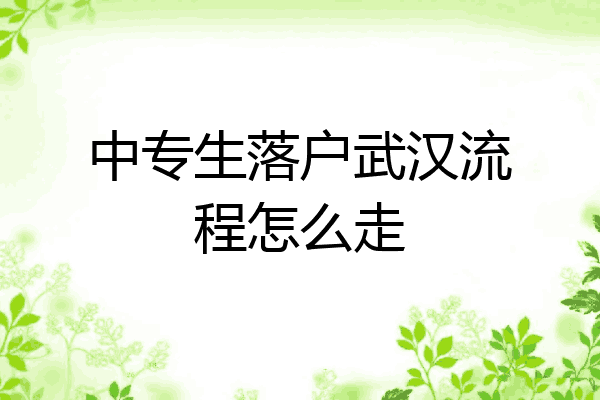 中专生落户武汉流程怎么走