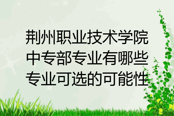 荆州职业技术学院中专部专业有哪些专业可选的可能性