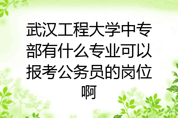 武汉工程大学中专部有什么专业可以报考公务员的岗位啊