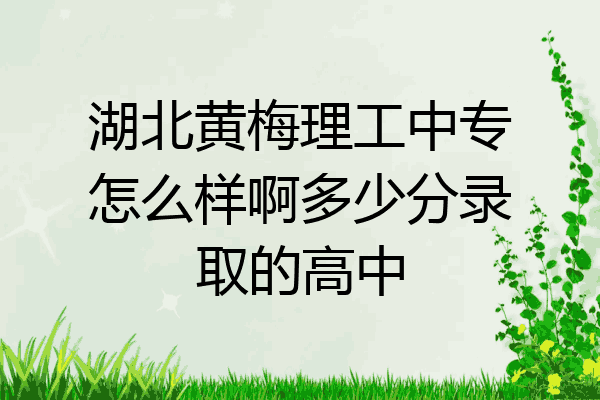 湖北黄梅理工中专怎么样啊多少分录取的高中