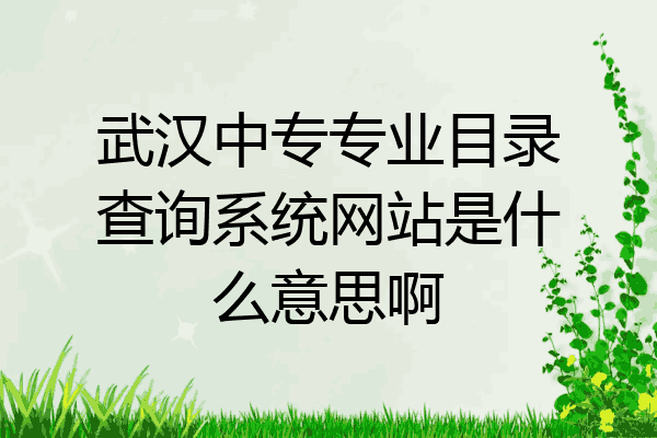 武汉中专专业目录查询系统网站是什么意思啊