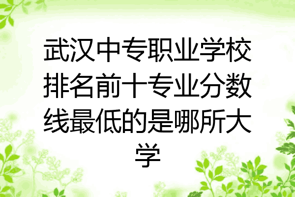 武汉中专职业学校排名前十专业分数线最低的是哪所大学
